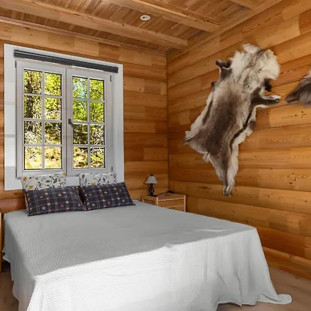 Resort Lille Bjorn - 60 Min Osl- - Innsjo Fallet