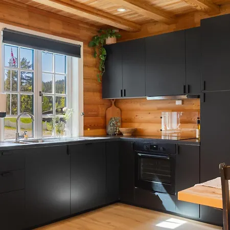 Resort Lille Bjorn - 60 Min Osl- - Innsjo *